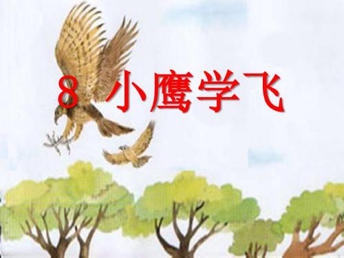 小鹰学飞_PPT优秀课件3