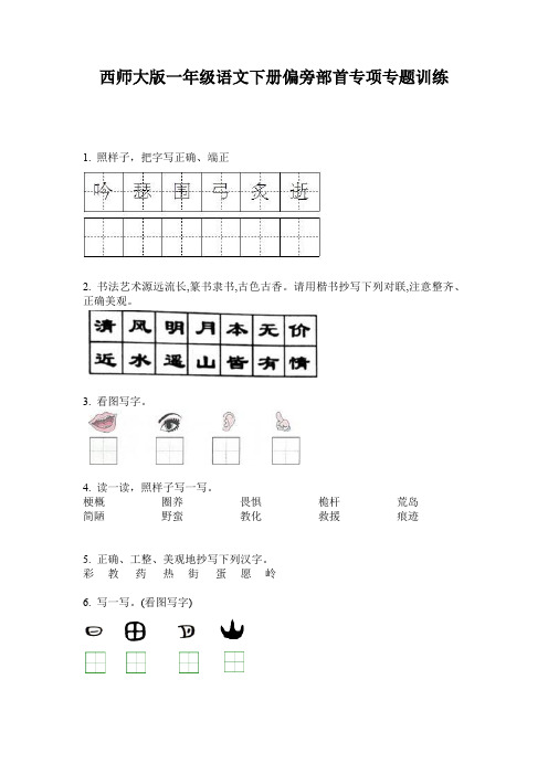 西师大版一年级语文下册偏旁部首专项专题训练