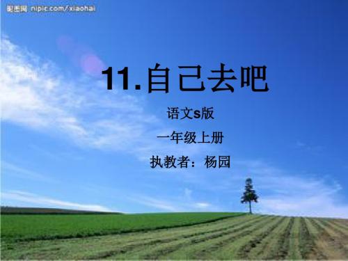 11.自己去吧!.ppt
