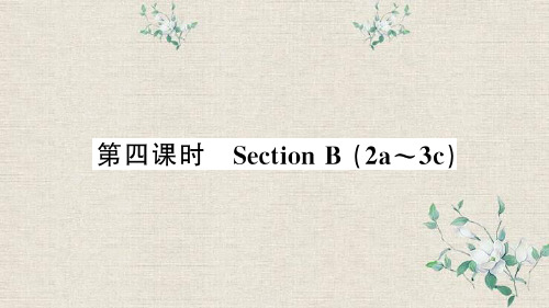 惠阳区第九中学七年级英语上册Unit5Doyouhaveasoccerball第四课时课件新版人教新