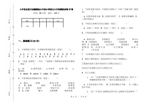 小升初总复习试题精选小升初小学语文小升初模拟试卷IV卷