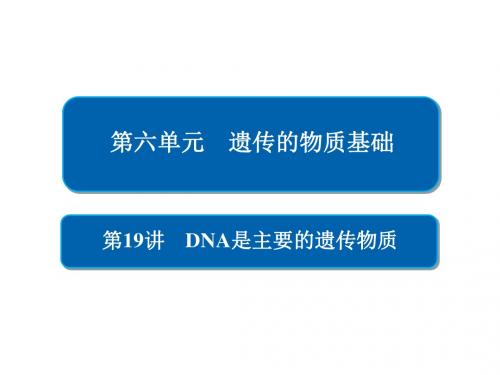 高考生物一轮复习第19讲DNA是主要的遗传物质课件