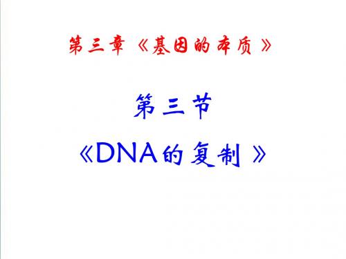 【人教版】生物必修二：3.3《DNA的复制》ppt课件