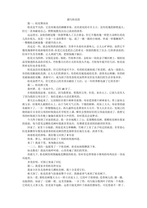 描写桂花的_小学作文