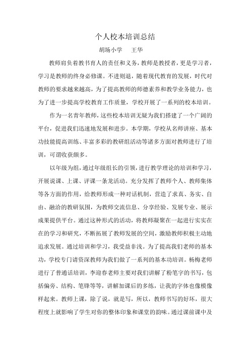 2011年度教师个人校本培训总结
