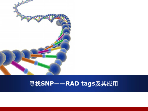 寻找SNP——RAD tags及其应用