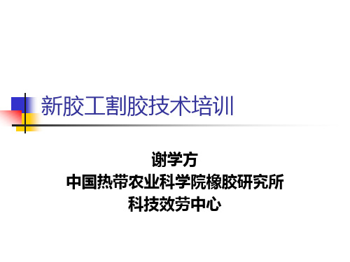 胶工割胶技术培训教材