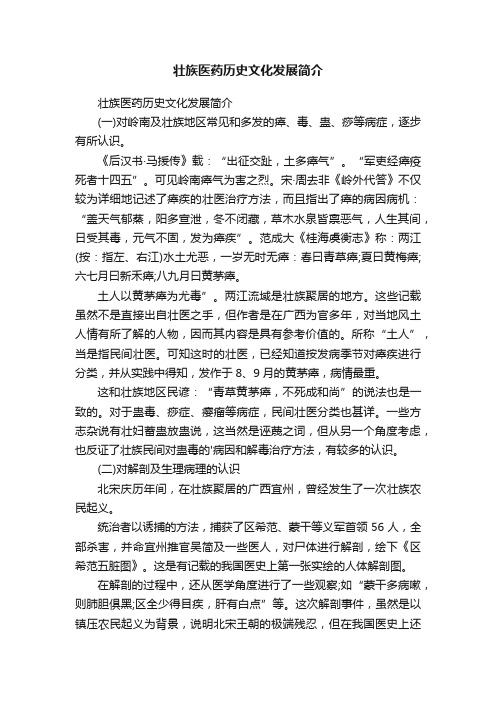 壮族医药历史文化发展简介
