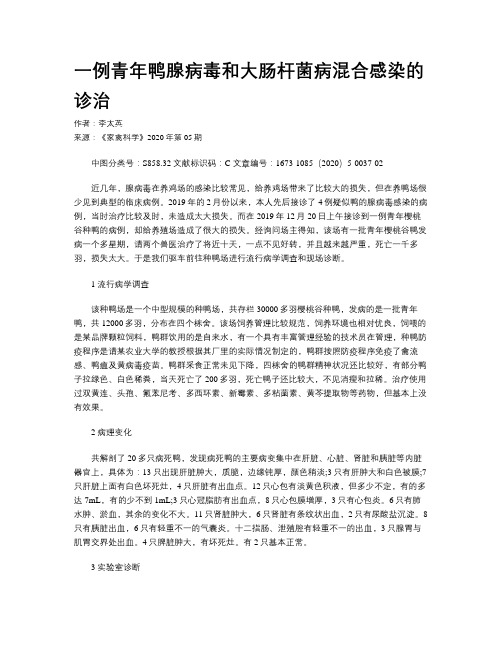 一例青年鸭腺病毒和大肠杆菌病混合感染的诊治