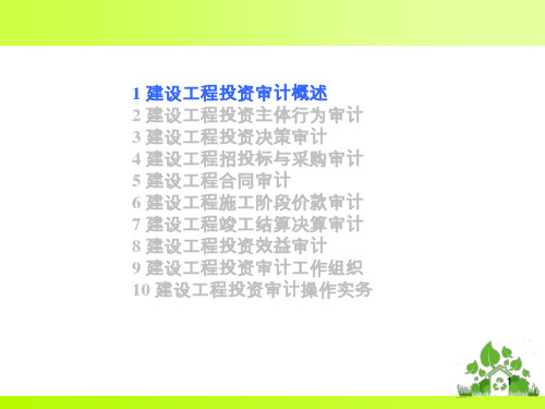 建设工程投资审计_审计概述
