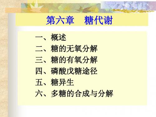 糖的无氧分解