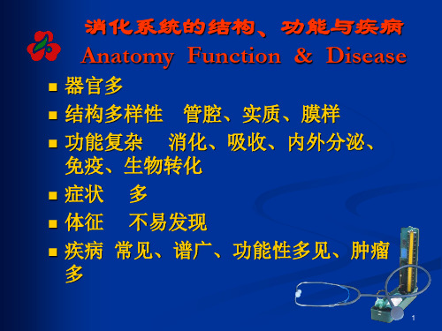 消化系统疾病总论ApprochToGastroenterologyPPT资料25页