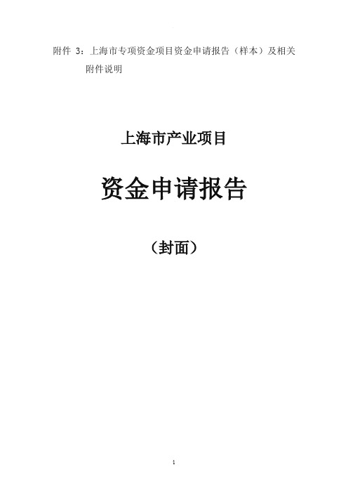 政府项目申报书样例模板