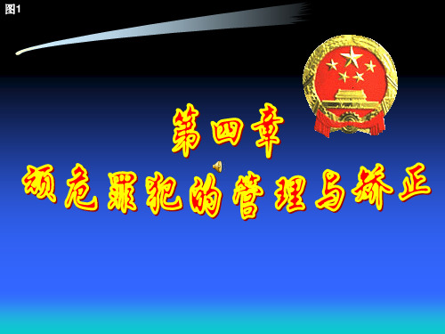 第四章 顽危罪犯管理与矫正