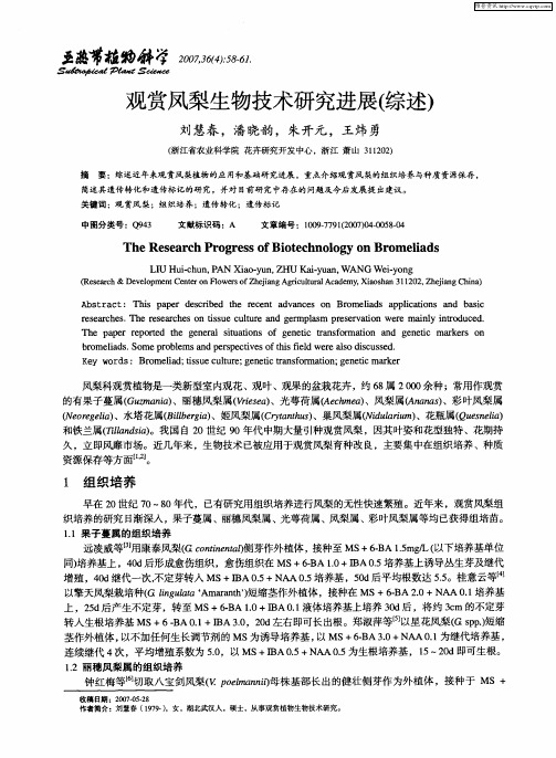 观赏凤梨生物技术研究进展(综述)