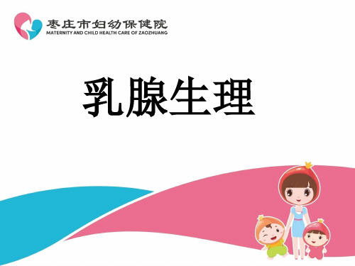 乳腺生理PPT课件
