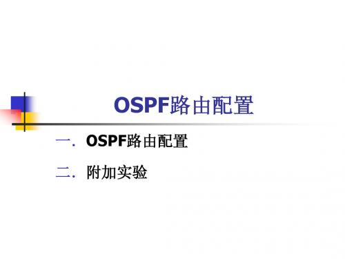 OSPF路由配置