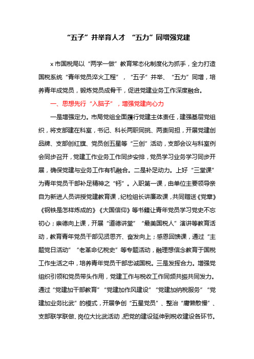 “五子” 并举育人才 “五力” 同增强党建