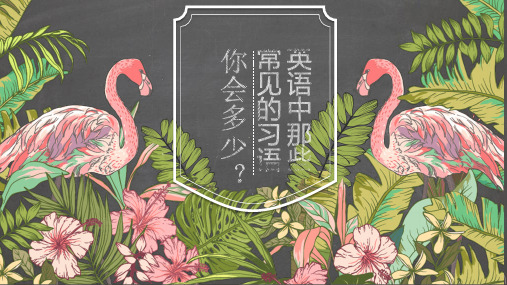 英语中那些常见的习语,你会多少？