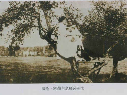 新人教版七年级语文(上)第二单元7《再塑生命的人》课件(共41张PPT)