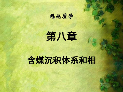含煤沉积体系和相概述(PPT112页)
