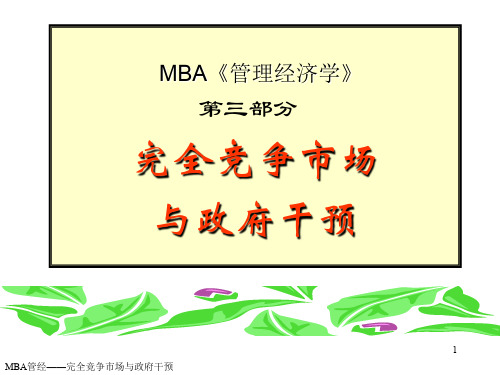 武汉大学微观经济学课件