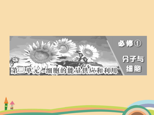 高一生物酶与ATPPPT教学课件