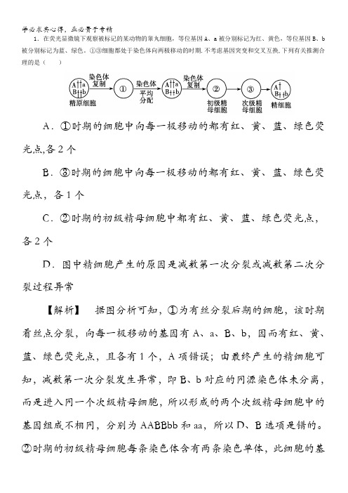 高考生物易错训练易错训练3细胞的生命历程 含解析