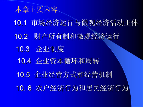 第十章    市场经济的微观基础36页PPT