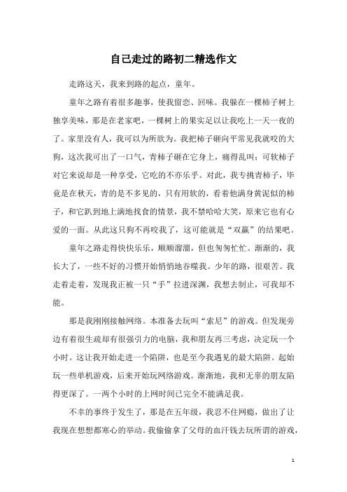 自己走过的路初二精选作文