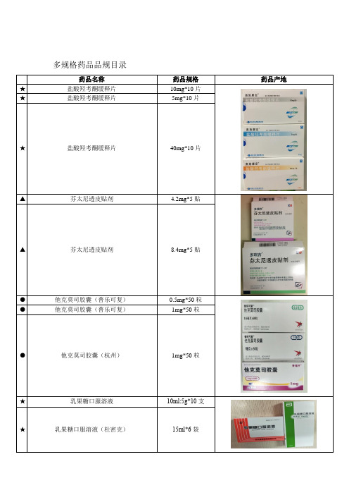 多规格药品品规目录
