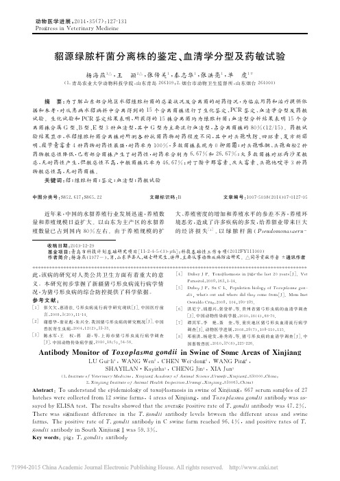 _貂源绿脓杆菌分离株的鉴定、血清学分型及药敏试验