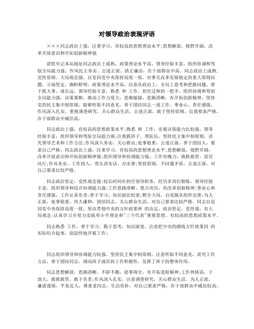 对领导政治表现评语