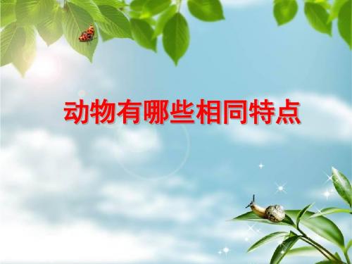 2.7 动物有哪些相同特点