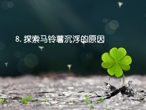 教科版科学最新五下1-8《探索马铃薯沉浮的原因》PPT
