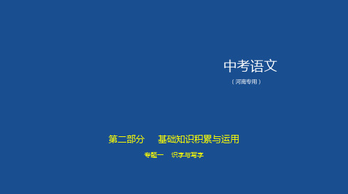 专题一识字与写字课件PPT_河南省中考语文专项复习