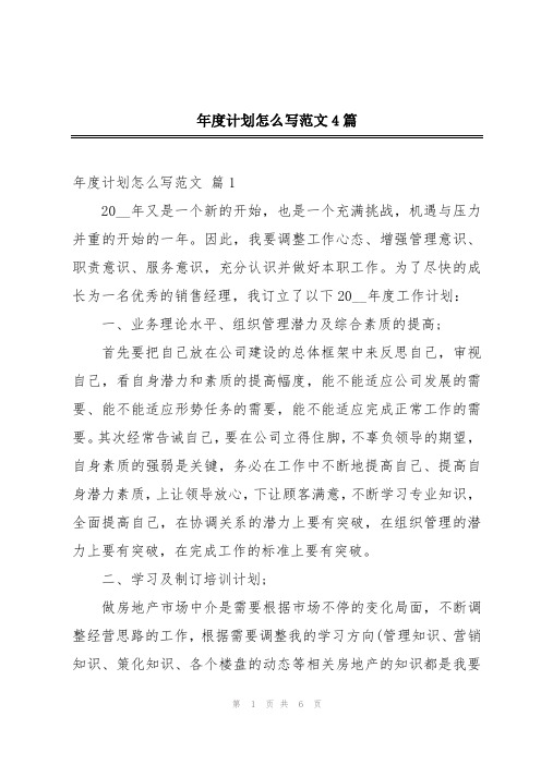 年度计划怎么写范文4篇