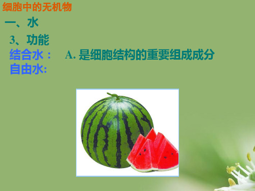 细胞膜——系统的边界ppt31 人教课标版精选教学PPT课件