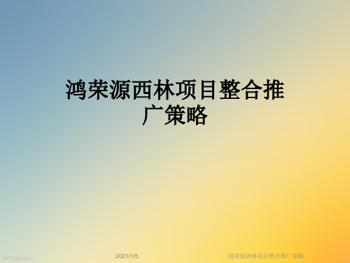 鸿荣源西林项目整合推广策略