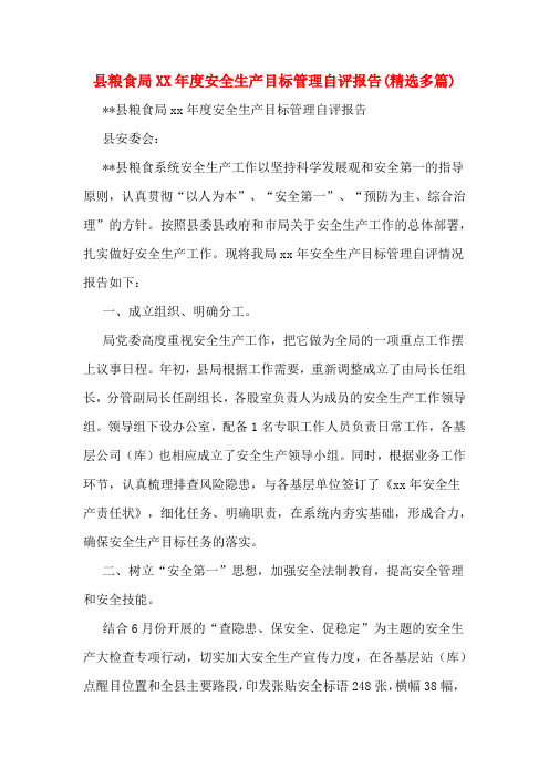 县粮食局XX年度安全生产目标管理自评报告(精选多篇)