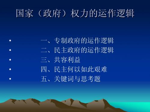 国家(政府权力)的运作逻辑
