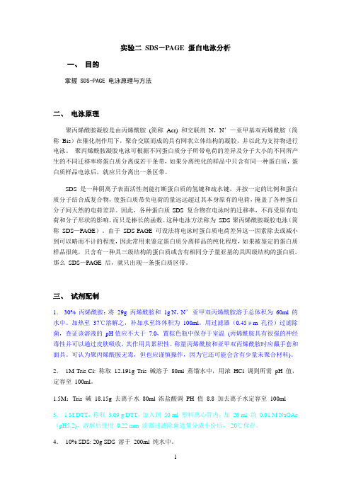 sds-page蛋白电泳分析