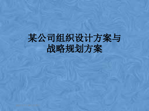 某公司组织设计方案与战略规划方案