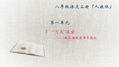 练习  “飞天”凌空——跳水姑娘吕伟夺魁记  (共33张PPT)