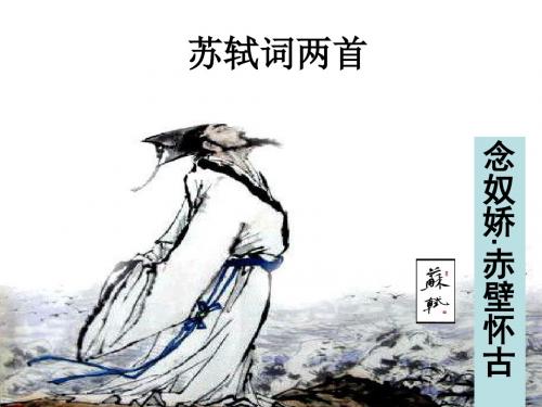 苏轼词两首优秀课件
