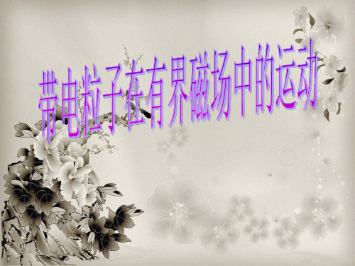 带电粒子在有界磁场中的运动PPT教学课件