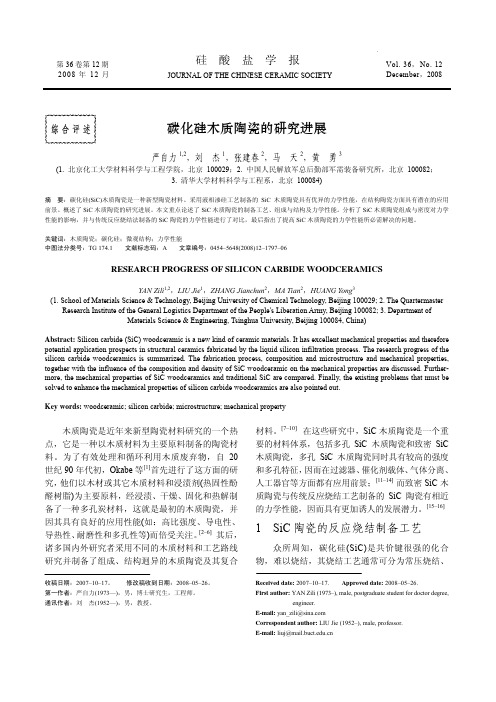 碳化硅木质陶瓷的研究进展
