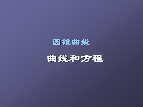 沪教版高中二年级数学第二学期曲线和方程