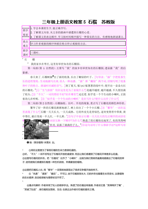 三年级上册语文教案5 石榴  苏教版
