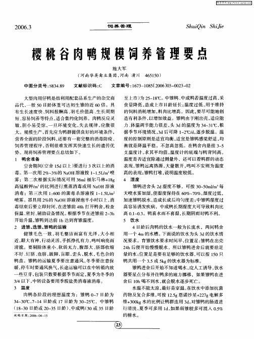 樱桃谷肉鸭规模饲养管理要点